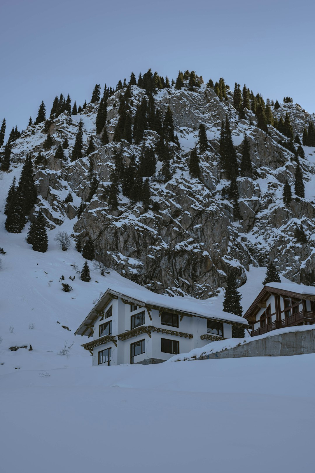 Deluxe Alpine Suite